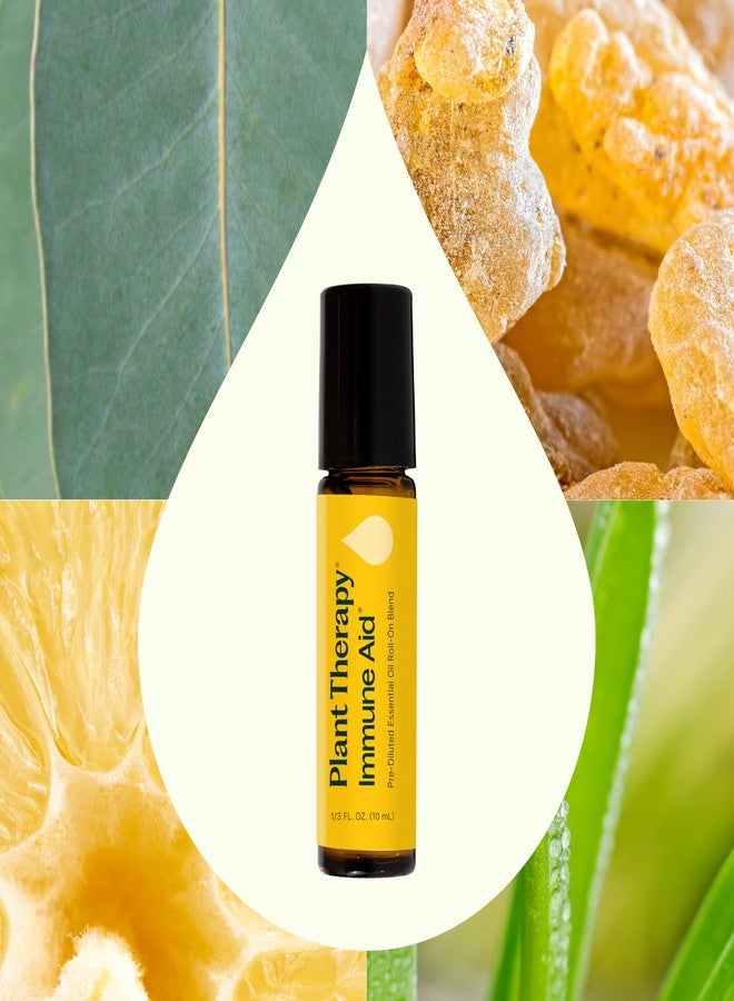 Plant Therapy Immune Aid Essential Oil Blend 10 mL (1/3 oz) 100% Pure, Pre-Diluted Roll On, Therapeutic Grade - Image 3
